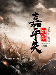 嘉平关纪事