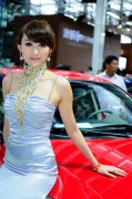 靓丽车模亮相2011北京车展套图