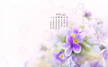 2016年3月日历清新唯美素雅桌面壁纸