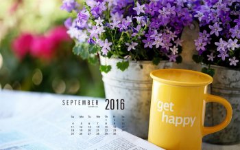 新鲜的杯子与日历组合成唯美清新杯子摄影高清桌面壁纸图片下载