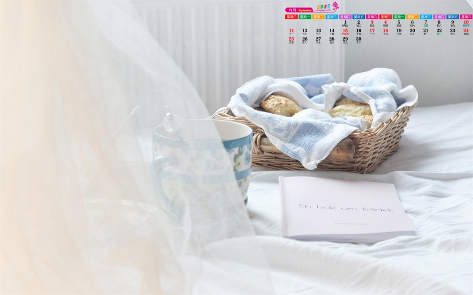 新鲜的杯子与日历组合成唯美清新杯子摄影高清桌面壁纸图片下载