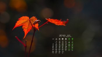 2016年3月日历深秋红叶唯美摄影电脑桌面壁纸下载