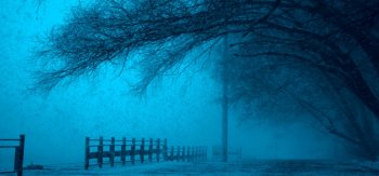 美丽冬季 莫斯科 树 栅栏 风景桌面壁纸