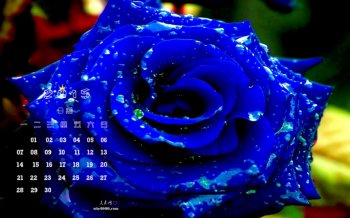 2015年9月日历唯美植物微距图片桌面壁纸下载6