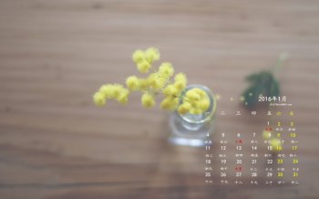 2016年1月日历简约的花瓶桌面壁纸下载
