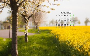 2016年6月日历初夏清新美景图片电脑壁纸下载