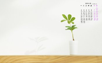 2016年5月日历简约植物桌面壁纸