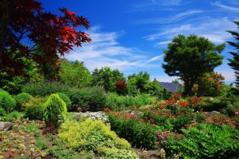 蓝天白云清新大自然美丽风景壁纸