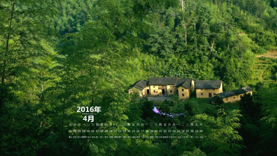 高清大图竹林绿色风景壁纸唯美图片