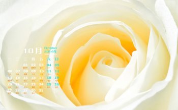 2014年10月日历唯美花卉高清电脑桌面壁纸