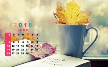 2016年6月日历非主流唯美意境图片电脑壁纸