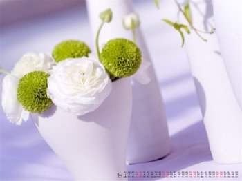 2016年6月日历小清新盆栽壁纸