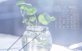 2016年1月日历朦胧简约小清新桌面壁纸下载