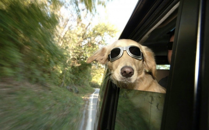 太阳镜创意高清电脑壁纸