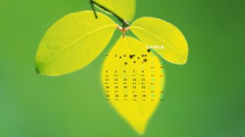 2016年1月日历绿色护眼清新桌面壁纸3