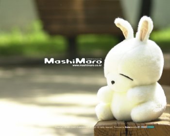 流氓兔壁纸之看风景