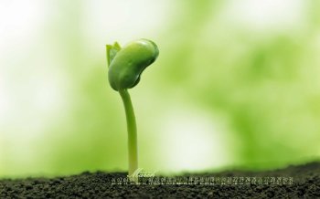 2016年3月小清新植物护眼日历桌面壁纸3下载