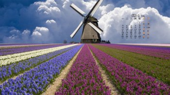 2016年1月日历清新薰衣草园壁纸图片下载