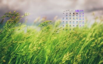 2016年3月日历唯美清新绿色风景壁纸