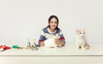赵丽颖与喵星人精美壁纸