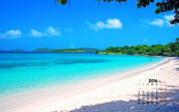 2016年1月日历清新护眼风景桌面壁纸1下载