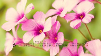 2013年6月风景日历之高清唯美精选图片