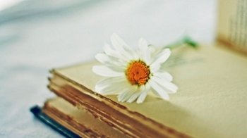 唯美纸张书籍电脑壁纸图片