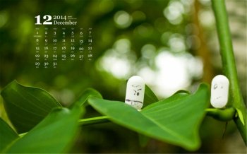 2014年12月日历桌面壁纸美丽的自然风景绿色护眼图片