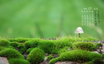 2016年4月日历小清新蘑菇桌面壁纸下载