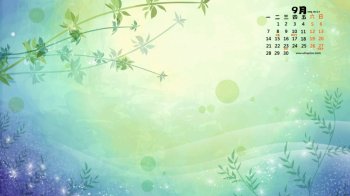 2015年9月日清新淡雅花卉植物高清桌面壁纸下载