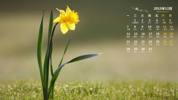 2015年12月份日历绿色唯美风景电脑桌面壁纸1