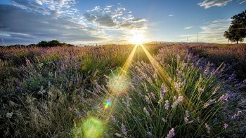 苹果imac极致景色桌面壁纸