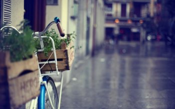 精选单车时光电脑壁纸下载