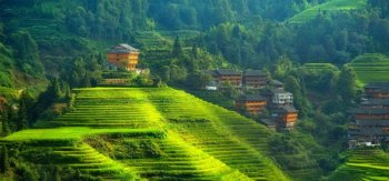 常回家看看,山里人家,农村,家乡,绿地,田地,梯田,树林,山丘,风景桌面壁纸