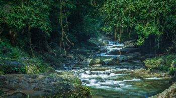 精选唯美自然风景高清桌面壁纸