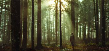 童话森林，树木，光线，女孩，唯美意境，风景壁纸