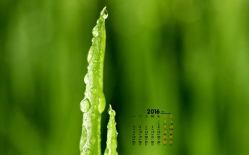 2016年1月日历清新自然美景壁纸图片3下载