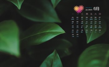 2015年6月日历精选高清护眼绿色叶子桌面壁纸下载