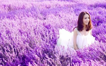 佟丽娅写真桌面壁纸