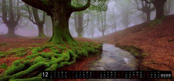 彼岸风景日历风景桌面壁纸 大自然,森林,树木,河流