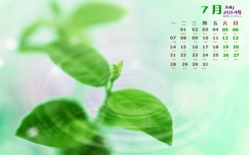 2014年7月日历桌面护眼壁纸清新唯美绿叶图片