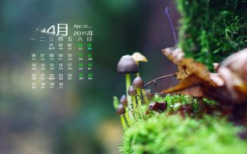 2015年4月日历壁纸精选绿色护眼小清新森林小蘑菇素材图片下载