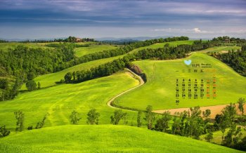 2015年11月日历护眼绿色小清新风景桌面壁纸下载6