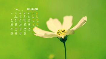 2015年12月日历壁纸之大自然微距绿色护眼图片2