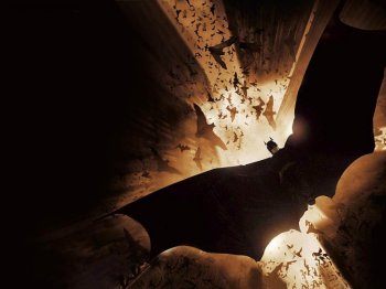 蝙蝠侠卡通漫画电脑壁纸