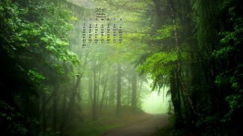 2016年2月日历简约清新护眼桌面壁纸下载1