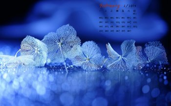 2015年2月日历唯美精致的树叶叶脉欣赏高清电脑桌面壁纸下载