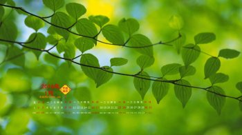2016年1月日历桌面壁纸唯美小清新图片1