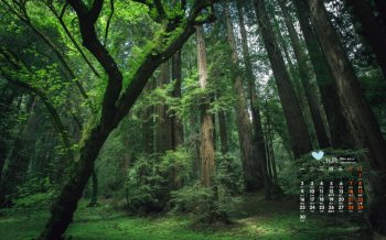 2015年11月日历清新风景壁纸图片3下载