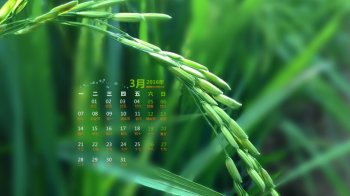 2016年3月日历壁纸唯美清新自然美景图5